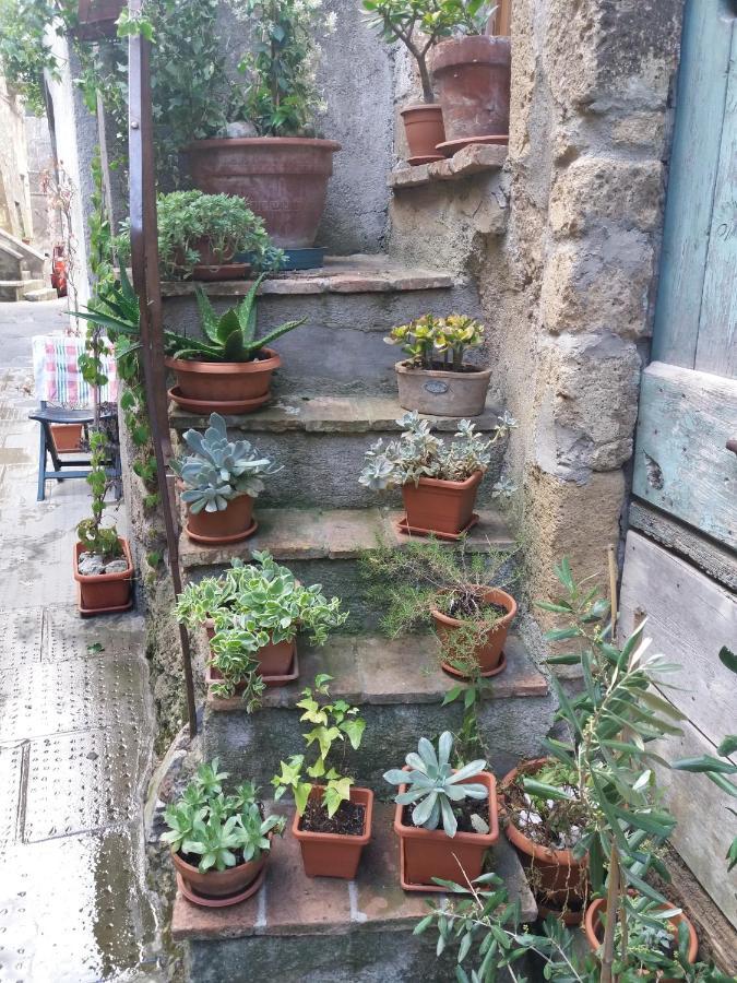 Apartament La Bico' Pitigliano Zewnętrze zdjęcie